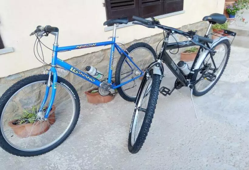 ペンション Casa Di Mezzacosta