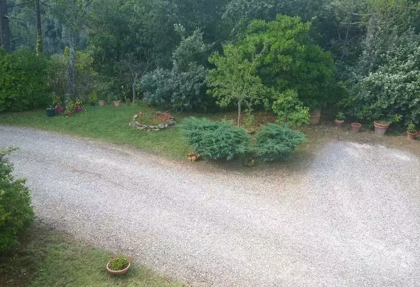 ペンション Casa Di Mezzacosta