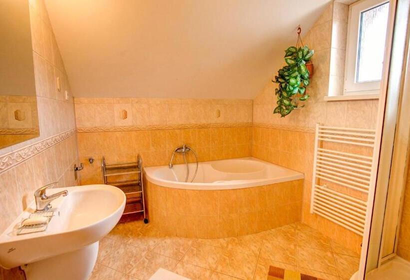 פנסיון Penzión Janega