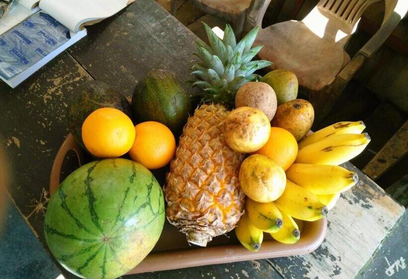 פנסיון Sunnys Beach Guest House