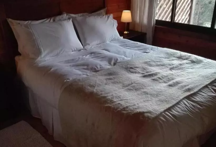 Terrazas Del Palena