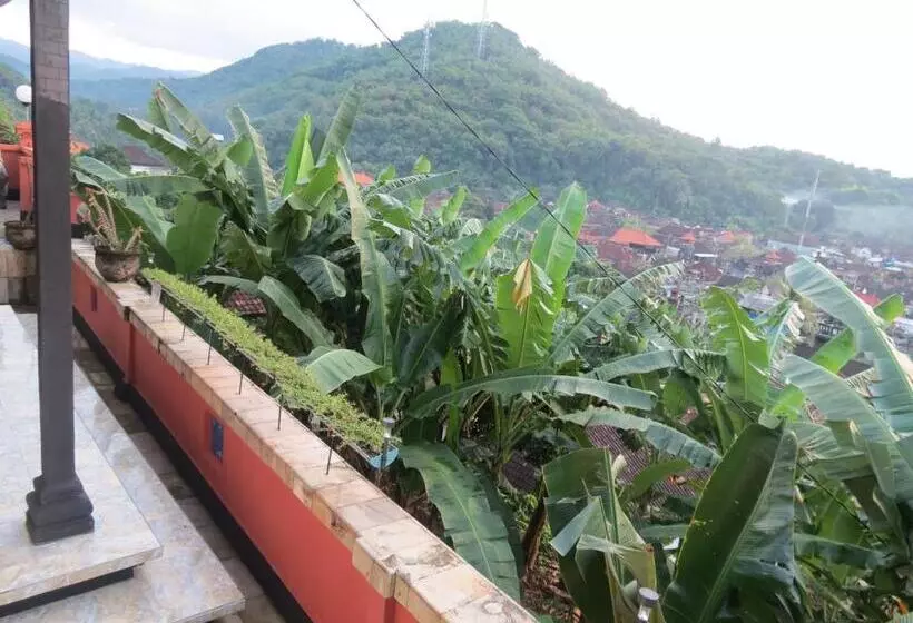 هاستل Lemon House