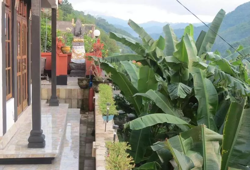 هاستل Lemon House