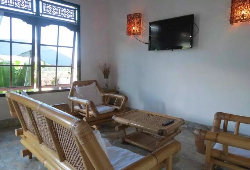 هاستل Lemon House