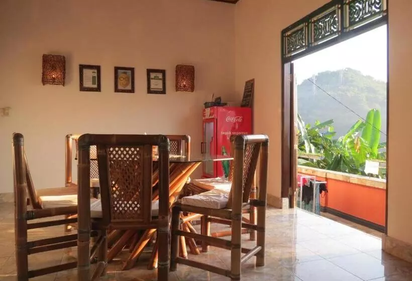 هاستل Lemon House