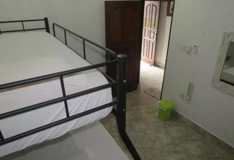 هاستل Lemon House