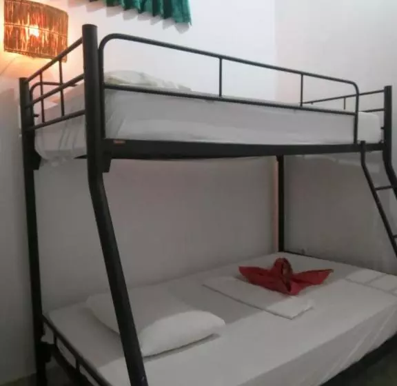 هاستل Lemon House