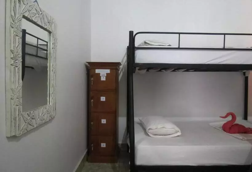 هاستل Lemon House