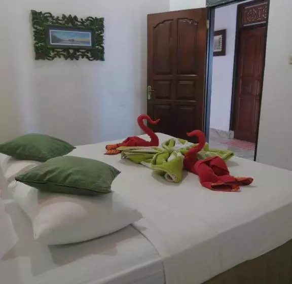 هاستل Lemon House