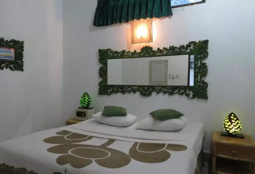 هاستل Lemon House