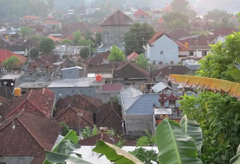 هاستل Lemon House