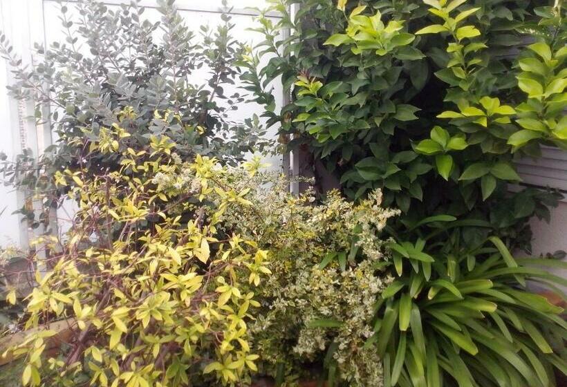 تختخواب و صبحانه Chambres D Hôtes Issy Paris