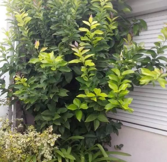 ベッドアンドブレックファースト Chambres D Hôtes Issy Paris