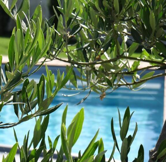 住宿加早餐  Chambres D Hôtes Les Marguerites