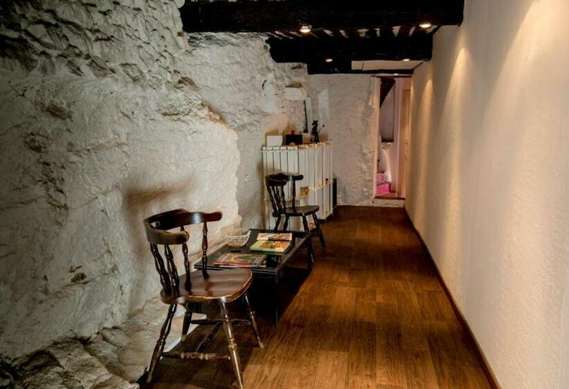 Bed & Breakfast Gîte Chambres D Hôtes Le Bellevue