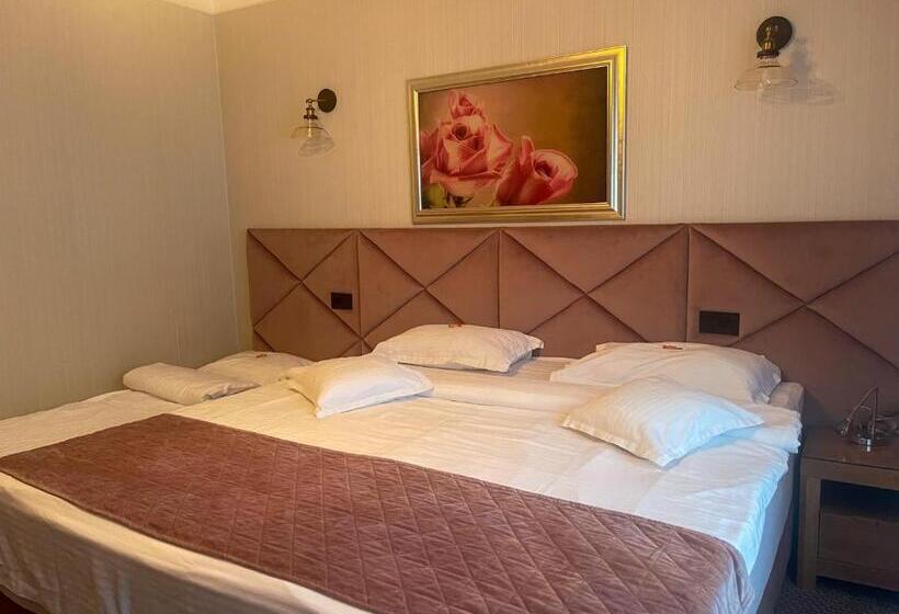 בית מלון כפרי Roser House Boutique   Pe Malul Lacului Colibita