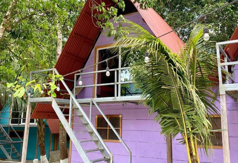 پانسیون Greengos