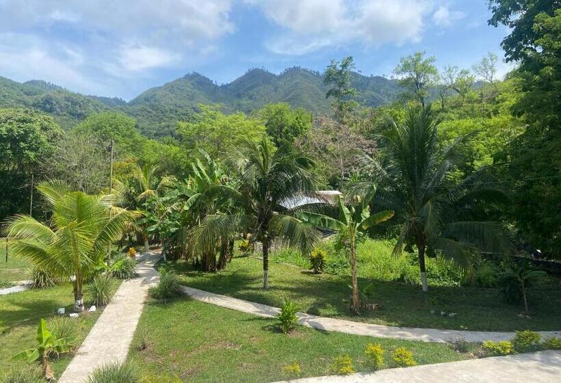 پانسیون Greengos