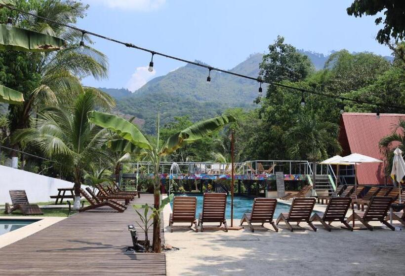 پانسیون Greengos