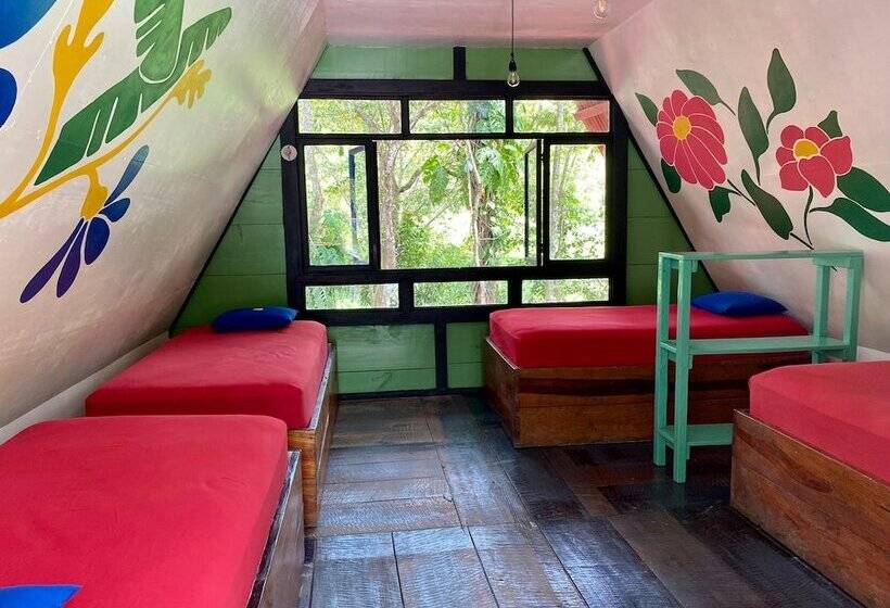 پانسیون Greengos