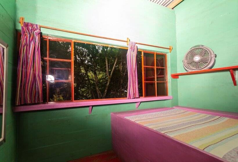 پانسیون Greengos