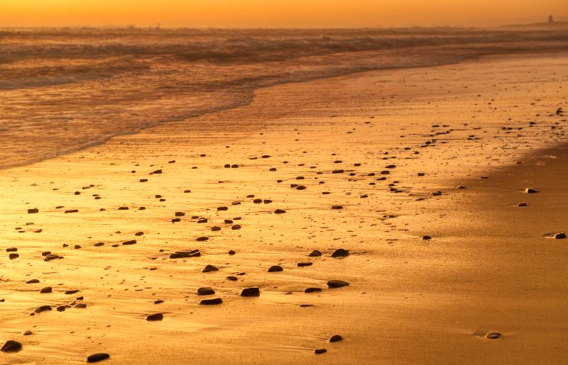 Pensão Atlantic Palms