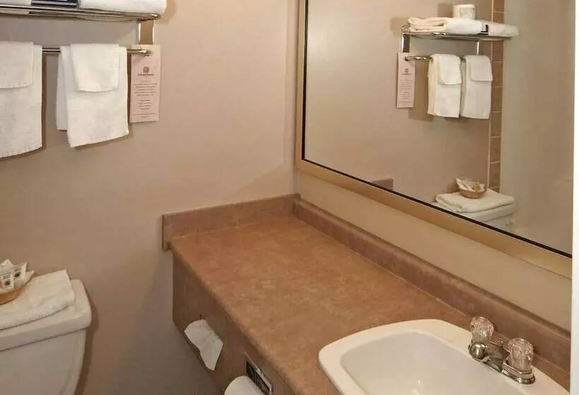 Hotel Colonial Square Inn & Suites