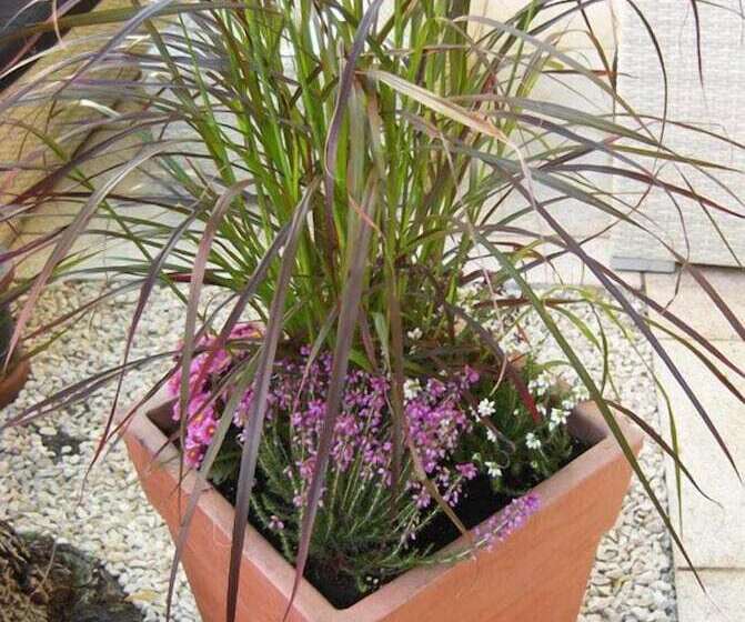 酒店 Mariahilf München