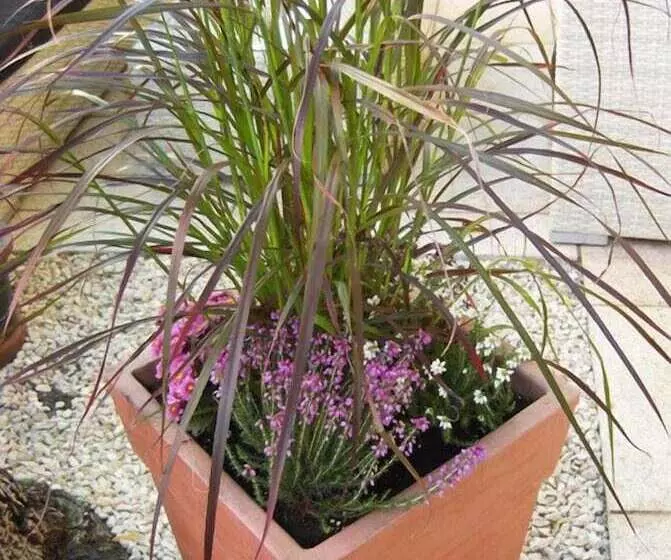 Отель Mariahilf München