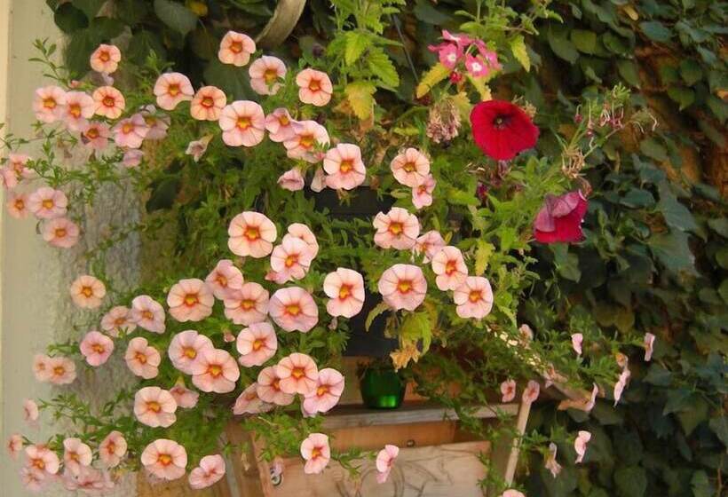 酒店 Mariahilf München