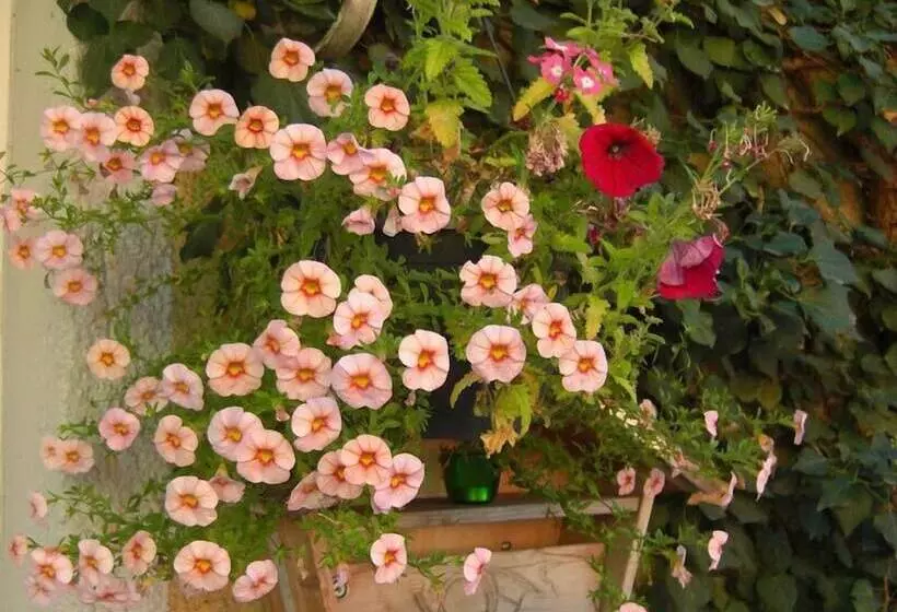 Отель Mariahilf München