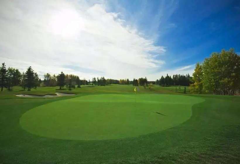 ホテル Mountain View Inn & Suites