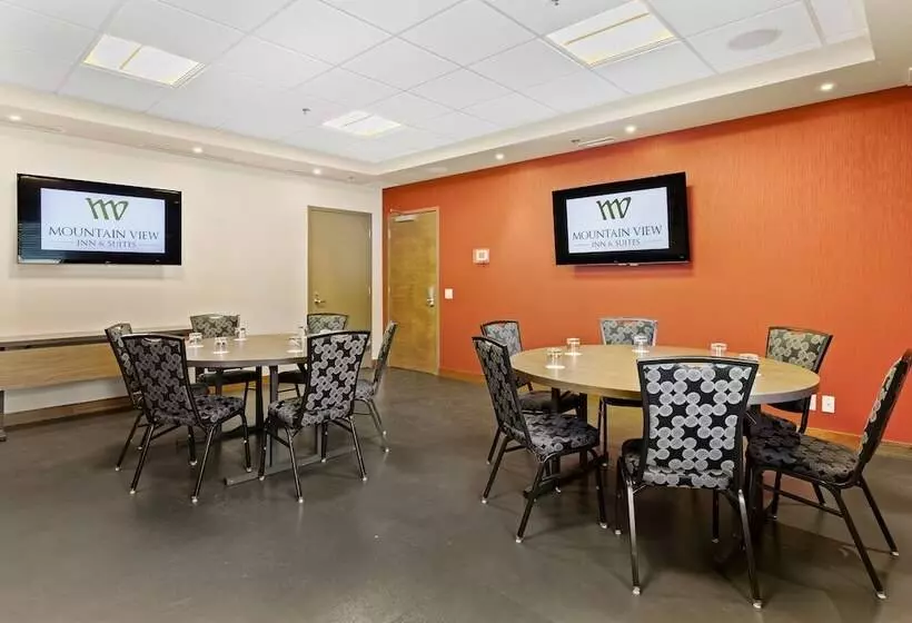 ホテル Mountain View Inn & Suites