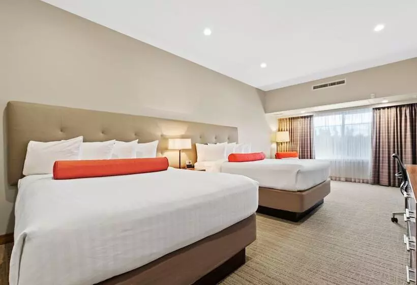 ホテル Mountain View Inn & Suites