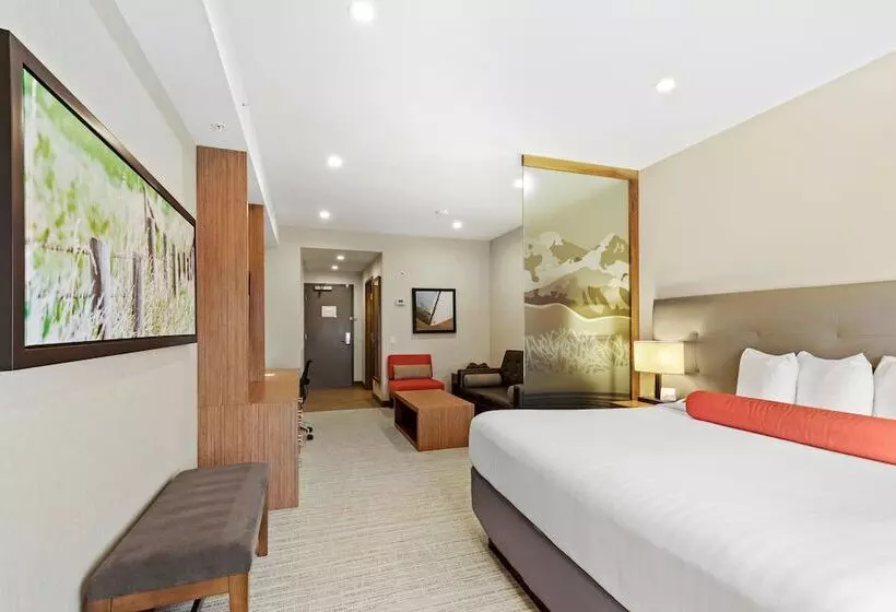 ホテル Mountain View Inn & Suites