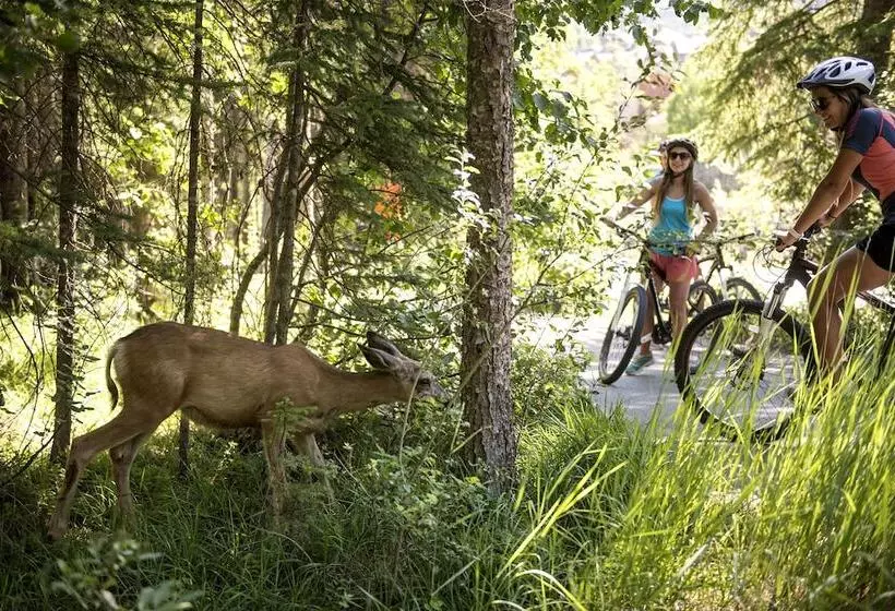 בית מלון כפרי The Approach