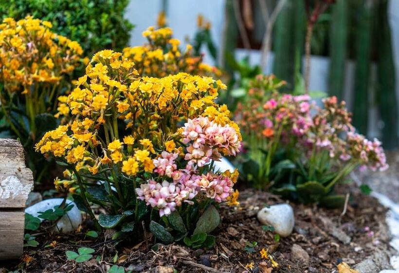 Casa Los Cantaros Hotel Boutique