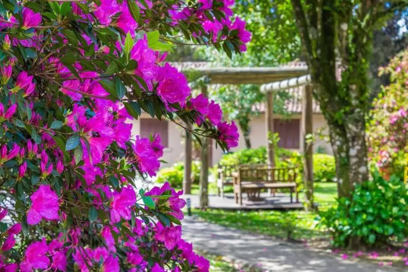 酒店 Fioreze Quero Quero