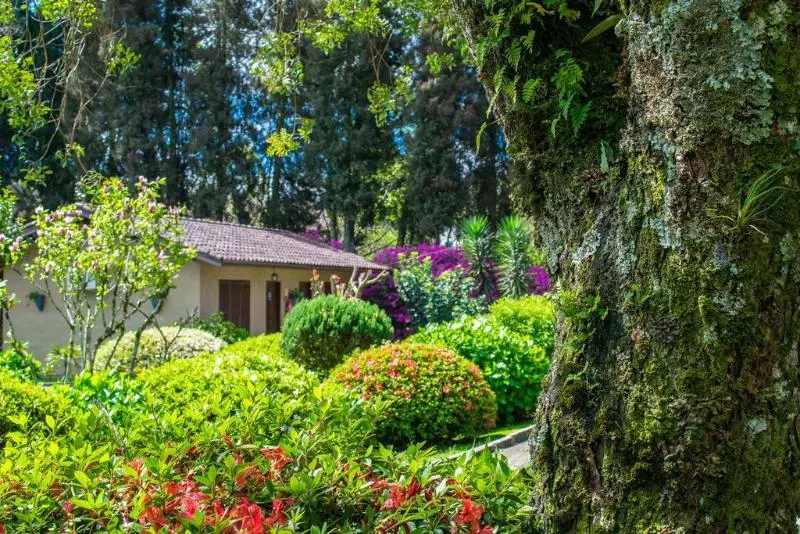 酒店 Fioreze Quero Quero