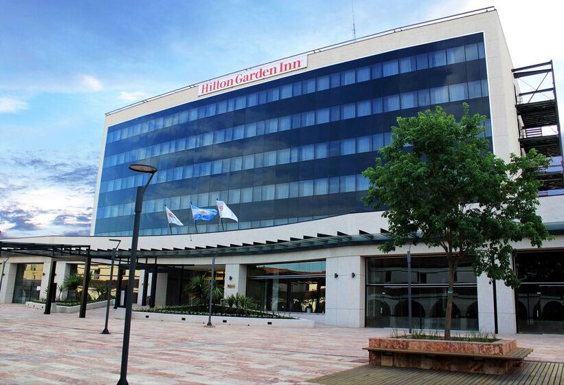 فندق Hilton Garden Inn Tucuman