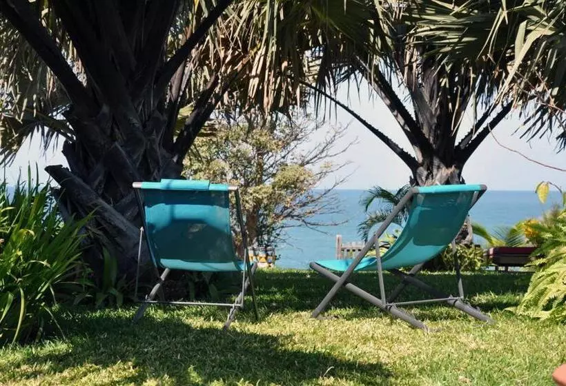 Leo S Beach Hotel Adults Only