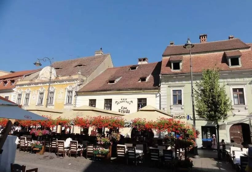 Отель Pension Casa Frieda