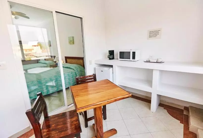 酒店 Suites Ixtapa Plaza