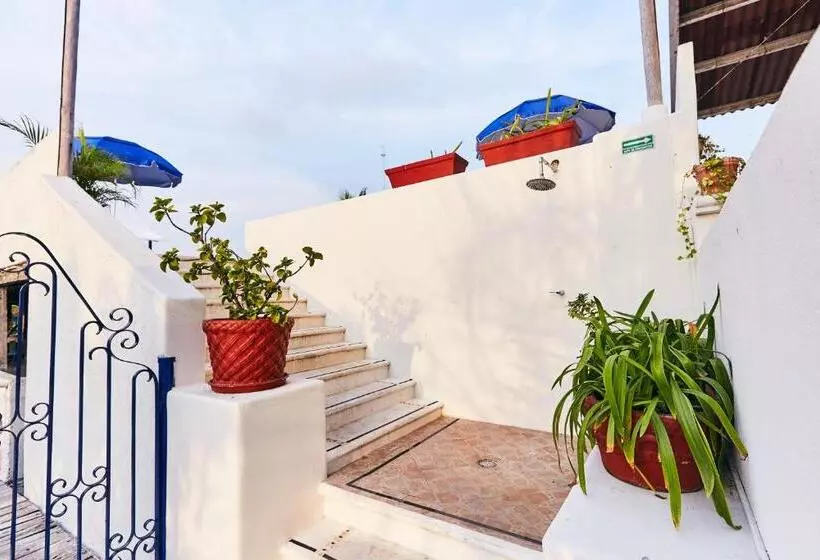 酒店 Suites Ixtapa Plaza