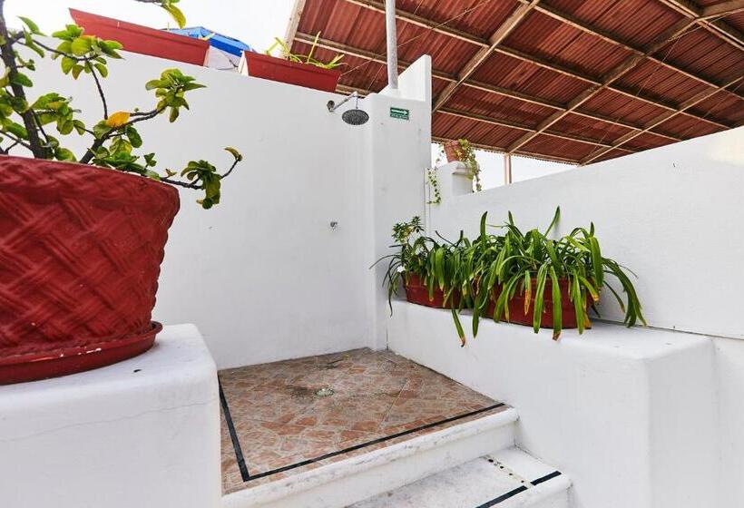 هتل Suites Ixtapa Plaza