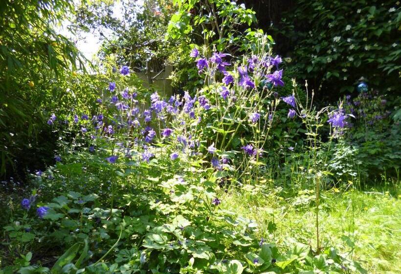 B&b Matin Tranquille