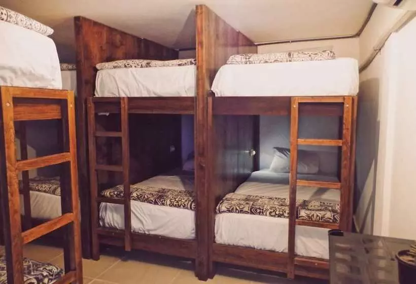 هتل Nahuala Hostal   Hostel