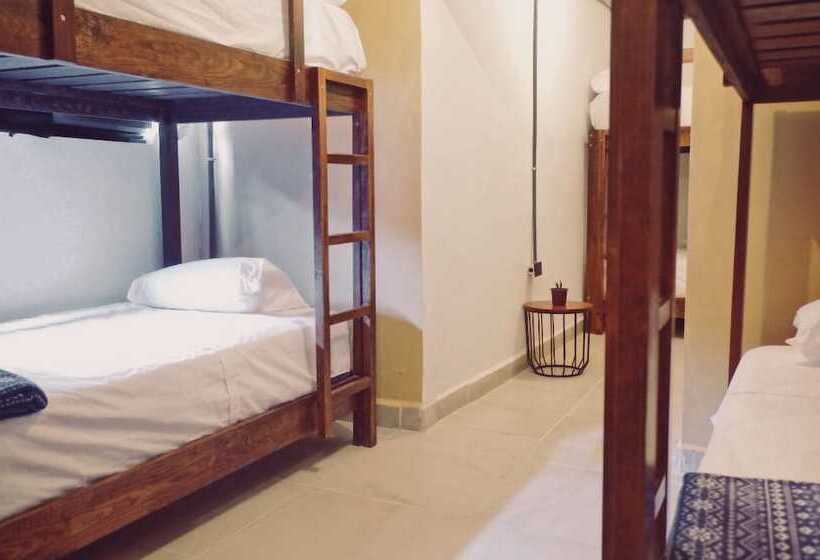 酒店 Nahuala Hostal Hostel