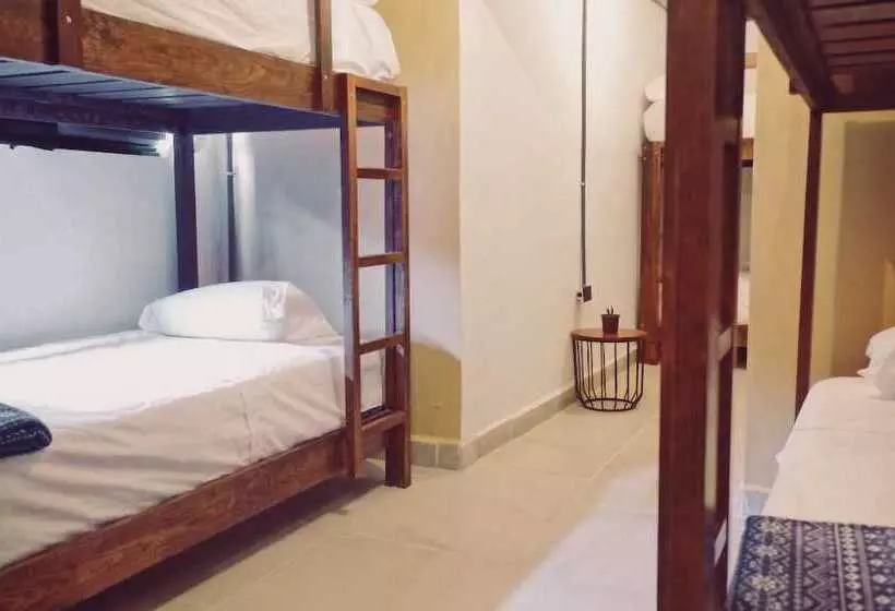 هتل Nahuala Hostal   Hostel