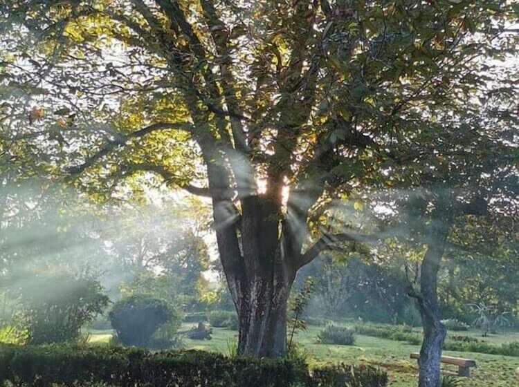 فندق Rancho Coyotepec